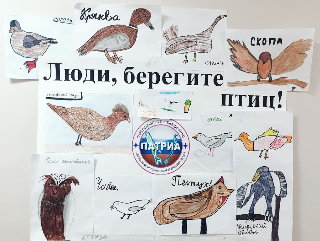 1 апреля международный день птиц картинки. Международный день птиц плакат. 1 Апреля день птиц. 1 Апреля день птиц плакат. 1 Апреля день птиц для детей.