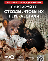 Животные и мусор