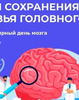 Неделя сохранения здоровья головного мозга: как&nbsp;защитить главный орган управления